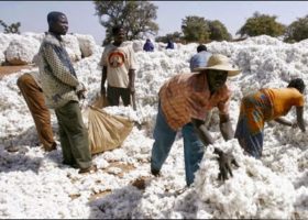 Exporters seek alternative seaport for agric exports