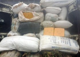Customs intercepts codeine, cannabis worth N1.175bn 
