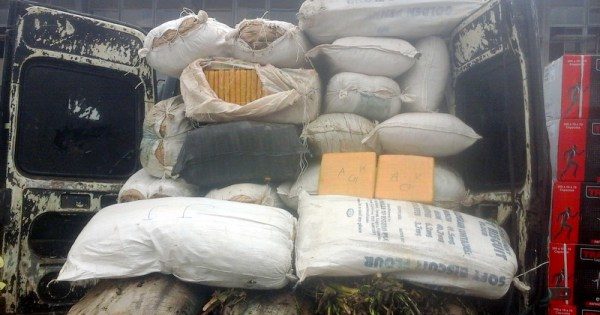 Customs impounds N379m Indian hemp imported from Ghana