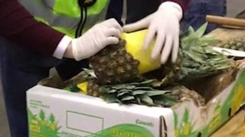 Spanish police seizes cocaine concealed inside pineapples