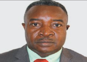 Nigeria losing huge foreign exchange to steel importation – Ginah