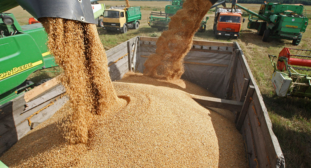 Nigeria seeks to cut wheat imports by boosting local output