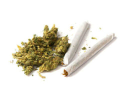 South Africa allows private use of marijuana