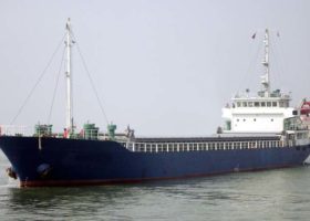 Cargo ship sinks off China, 11 seafarers missing