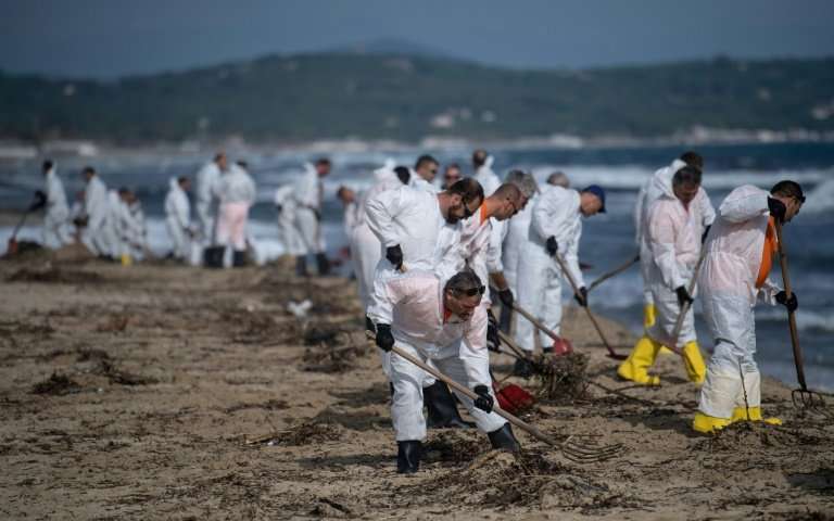 Oil washes ashore in France after ship collision