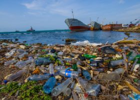 Plastic litter