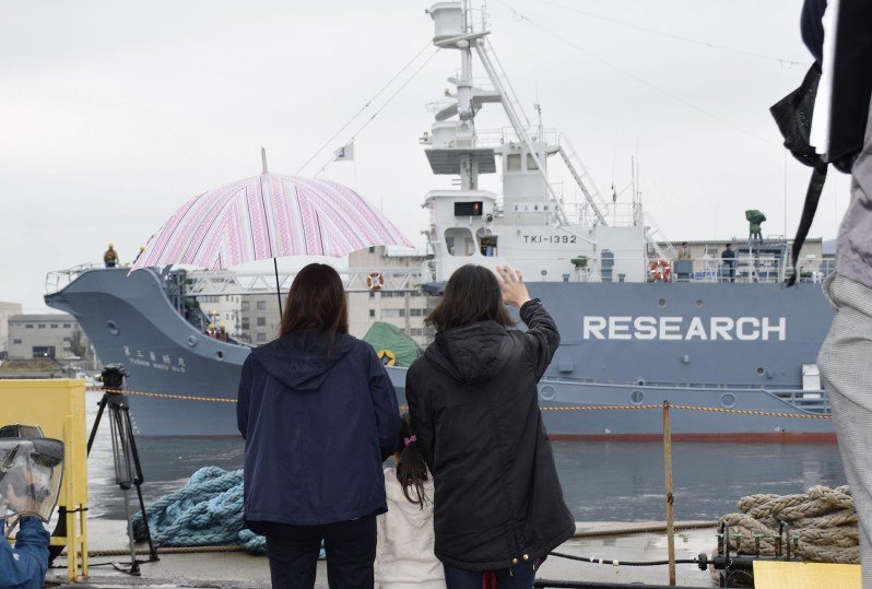 Japan launches new whaling mission in Antarctic 