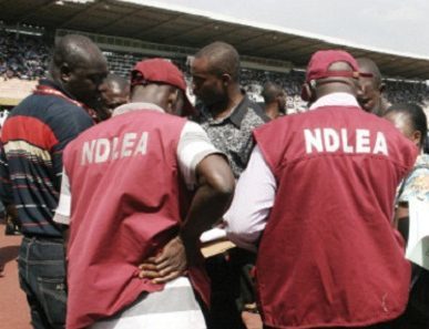 NDLEA seizes 12 containers with 340 million tramadol tablets