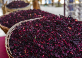 Hibiscus flower: Nigeria earns $35m from export in one year 