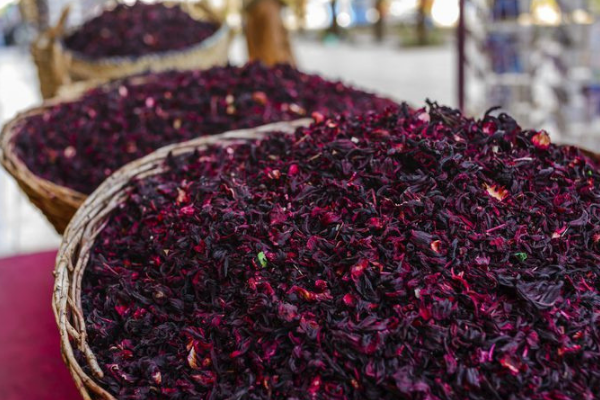 Hibiscus flower: Nigeria earns $35m from export in one year 