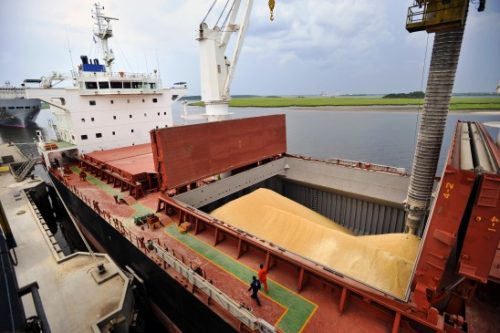 Tariff row: China imports zero soybeans from U.S. in November