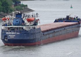 Two die as Panama-flagged cargo ship sinks off Turkey’s coast