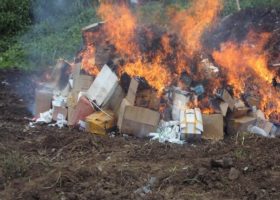 SON destroys N8m substandard products in Kano