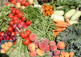 Exploiting Nigeria’s unknown flower, fruit and vegetable export market