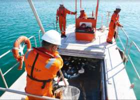 Abu Dhabi Ports collects over 120 tons of floating sea debris