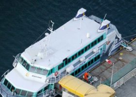Scores injured as Japanese ferry crashes into whale 