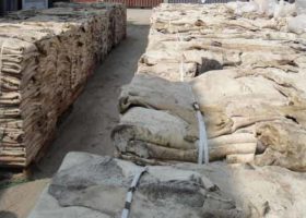 Customs seize N15bn donkey skin in Lagos