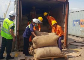 Vietnam seizes pangolin scales hidden with cashew from Nigeria