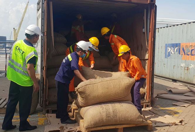 Vietnam seizes pangolin scales hidden with cashew from Nigeria