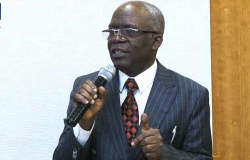 Femi Falana