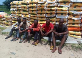 Navy arrests 5 suspects, seizes 370 bags of rice