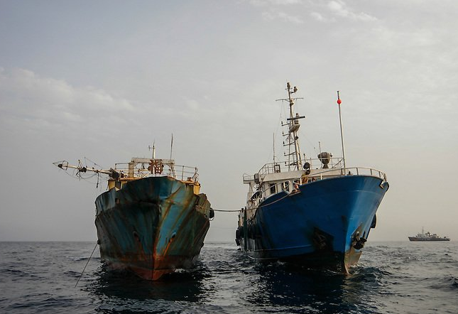 Navy arrests two vessels for illegal fishing 