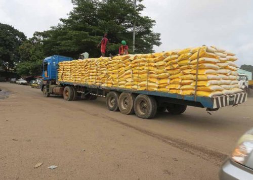 Niger Republic bans rice export to Nigeria