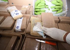 Customs impounds 1.2 tons of cocaine at Dubai airport