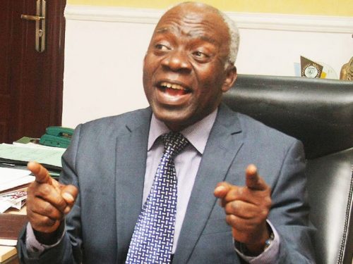 Femi Falana