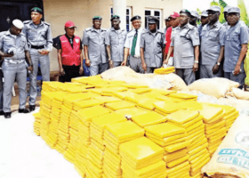 Customs intercepts N25m Indian hemp from Ghana
