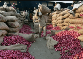 Nigeria imports 1.1m tones of onion annually
