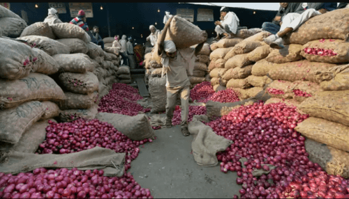 Nigeria imports 1.1m tones of onion annually