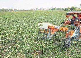 NIWA pulls down shanties, clears water hyacinth in Lagos