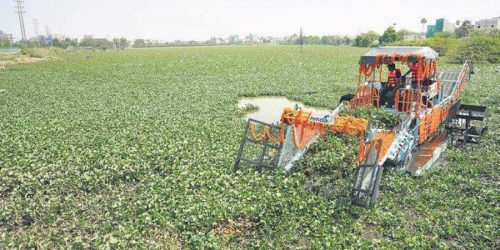 NIWA pulls down shanties, clears water hyacinth in Lagos 