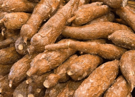 Nigeria imports N183bn cassava derivatives annually