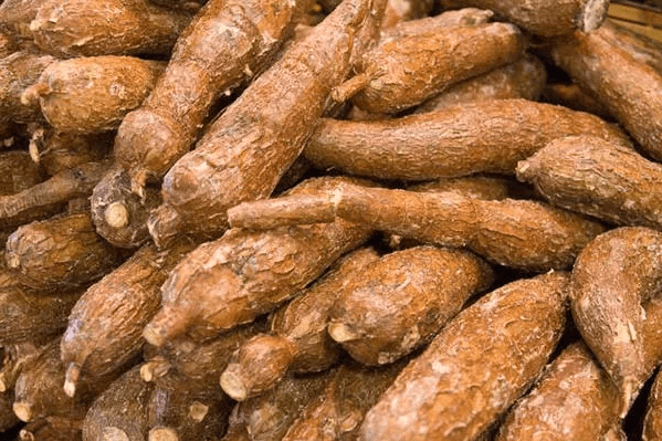 Nigeria imports N183bn cassava derivatives annually 