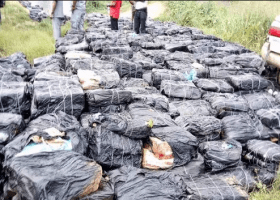 Customs destroys 1,393 cartons of frozen food