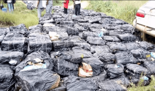 Customs destroys 1,393 cartons of frozen food