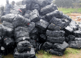 Customs seizes N68.9m frozen poultry at Lagos airport