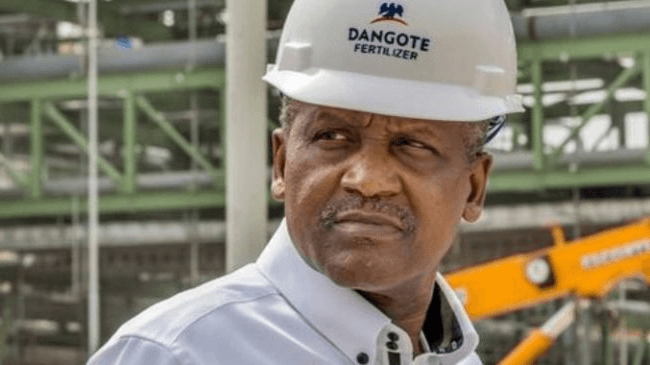 FG reopens land border for Dangote Cement