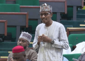 Lawmaker: Massive smuggling persists in Buhari’s hometown, Daura