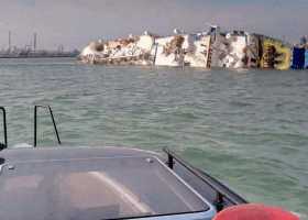 Livestock carrier with 14,600 sheep capsizes in Black Sea