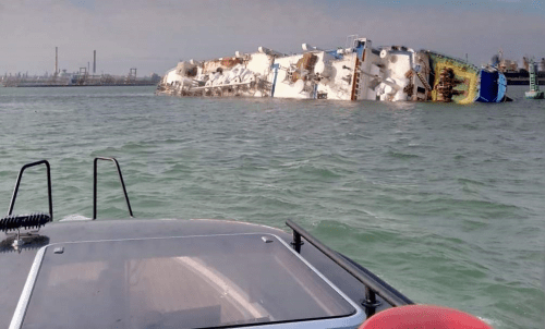 Livestock carrier with 14,600 sheep capsizes in Black Sea 