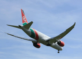 UK identifies Kenyan airline stowaway who died in London garden