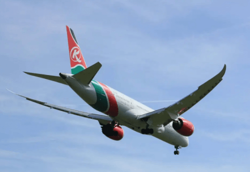 UK identifies Kenyan airline stowaway who died in London garden