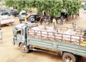 Customs raid Mubi market, seize foreign rice