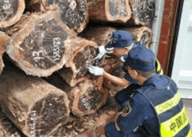 Customs impounds pests 