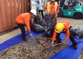 Vietnam seizes pangolin scales, ivory from Nigeria