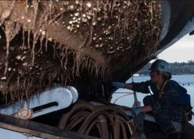 BIMCO submits biofouling survey results to the IMO