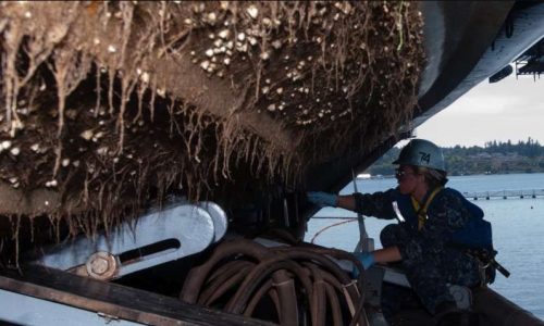 BIMCO submits biofouling survey results to the IMO